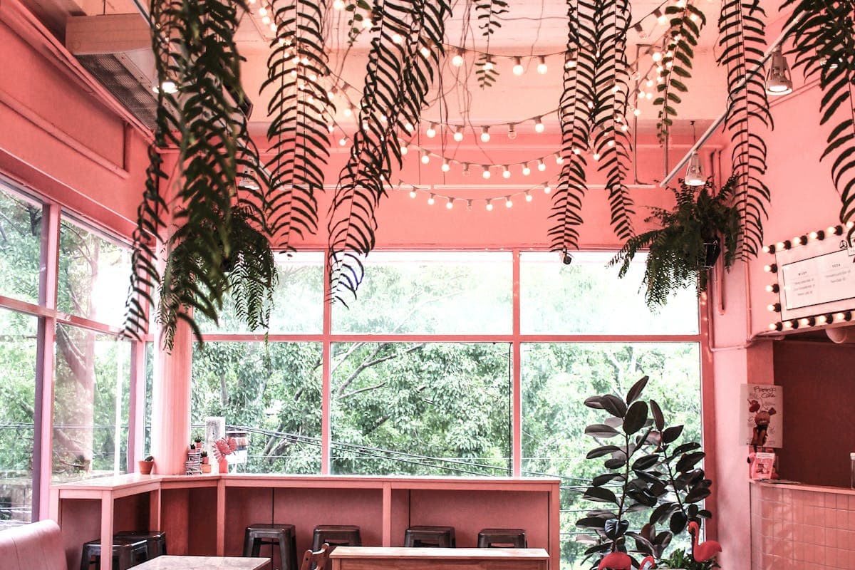 Adventure Cafe